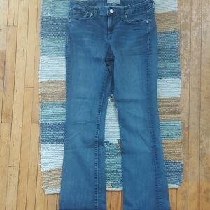 Banana Republic Women's Straight Leg Blue Jeans